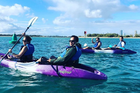 Half Day Dolphin Kayaking And Snorkeling Tour - New South Wales Tourism  5