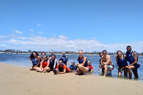 Half Day Dolphin Kayaking And Snorkeling Tour - New South Wales Tourism  9