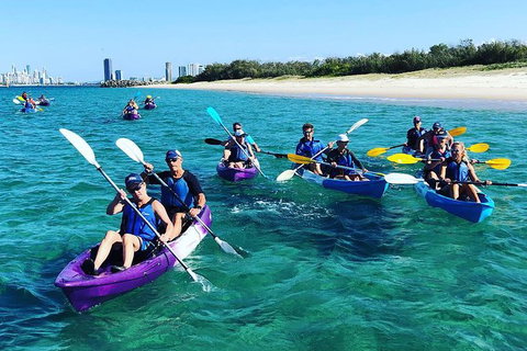 Half Day Dolphin Kayaking And Snorkeling Tour - New South Wales Tourism  11