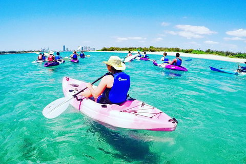 Half Day Dolphin Kayaking And Snorkeling Tour - New South Wales Tourism  0