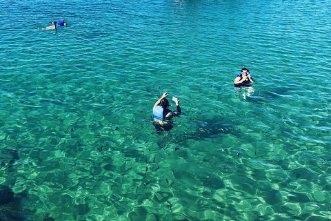 Half Day Dolphin Kayaking And Snorkeling Tour - New South Wales Tourism  12