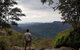 Small Group Gold Coast Mountain Tour: Springbrook National Park And Mt Tamborine - thumb 6