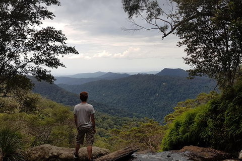 Small Group Gold Coast Mountain Tour: Springbrook National Park And Mt Tamborine - New South Wales Tourism  6