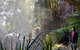 Small Group Gold Coast Mountain Tour: Springbrook National Park And Mt Tamborine - thumb 7