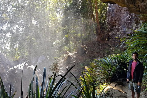 Small Group Gold Coast Mountain Tour: Springbrook National Park And Mt Tamborine - New South Wales Tourism  7