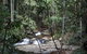 Small Group Gold Coast Mountain Tour: Springbrook National Park And Mt Tamborine - thumb 8