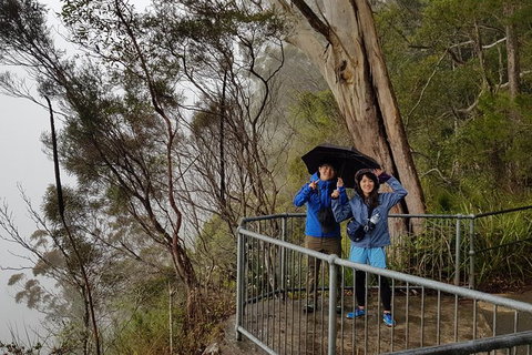 Small Group Gold Coast Mountain Tour: Springbrook National Park And Mt Tamborine - New South Wales Tourism  1