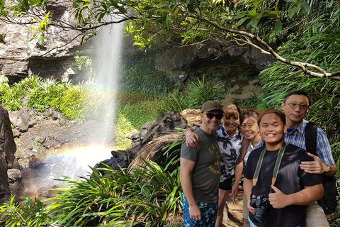 Small Group Gold Coast Mountain Tour: Springbrook National Park And Mt Tamborine - New South Wales Tourism  0