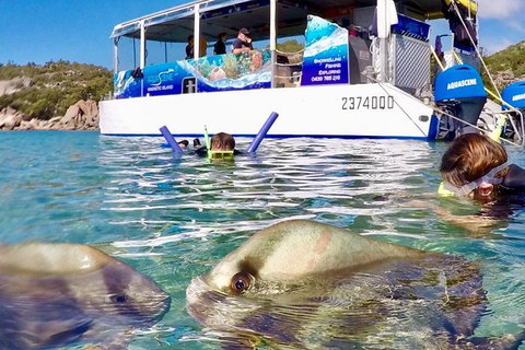 Aquascene Magnetic Island Discovery Tour - New South Wales Tourism  4