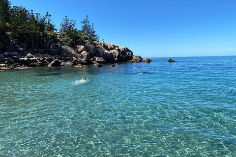 Aquascene Magnetic Island Discovery Tour - New South Wales Tourism  9