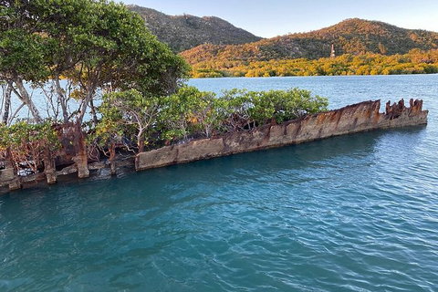 Aquascene Magnetic Island Discovery Tour - New South Wales Tourism  1