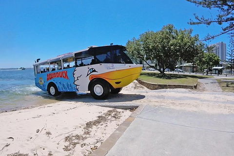 Aquaduck Gold Coast 1 Hour City And River Tour - New South Wales Tourism  1