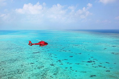 Ultimate Great Barrier Reef And Rainforest 45-minute Helicopter Tour - New South Wales Tourism  4