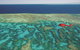 Ultimate Great Barrier Reef And Rainforest 45-minute Helicopter Tour - thumb 2