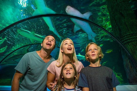 SEA LIFE Sunshine Coast Aquarium Entrance Ticket - New South Wales Tourism  3