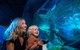SEA LIFE Sunshine Coast Aquarium Entrance Ticket - thumb 4