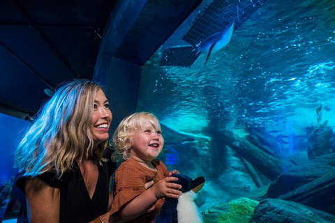 SEA LIFE Sunshine Coast Aquarium Entrance Ticket - New South Wales Tourism  4