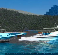 Private Standard Charter Experience in Whitsundays - New South Wales Tourism 