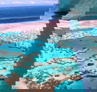 8-Day Cairns Tour Great Barrier Reef Kuranda Daintree Rainforest - New South Wales Tourism 