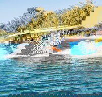 Gold Coast Quack'rDuck Amphibious Tour from Surfers Paradise - New South Wales Tourism 