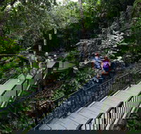 4-Day Cairns with Great Barrier Reef and Daintree Rainforest - New South Wales Tourism 