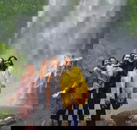 Small Group Tour Max 6 Gold Coast Super 7 Waterfalls Tour Springbrook - New South Wales Tourism 