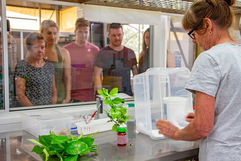 Australian Butterfly Sanctuary - New South Wales Tourism  6