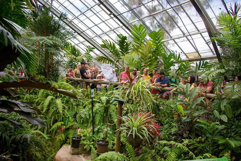 Australian Butterfly Sanctuary - New South Wales Tourism  4