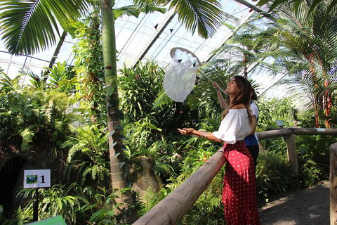 Australian Butterfly Sanctuary - New South Wales Tourism  2