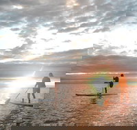 Sunrise Paddleboarding Group Lesson at Palm Cove Beach - New South Wales Tourism 