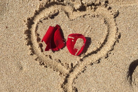 Elope In Paradise - Weddings At Mission Beach - New South Wales Tourism  3
