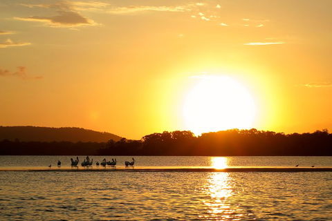 Noosa River Cruise For 2 People On A Classic Mahogany Speed Boat - 90 Min. - New South Wales Tourism  9