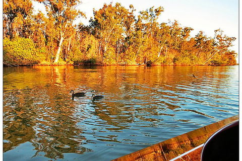 Noosa River Cruise For 2 People On A Classic Mahogany Speed Boat - 90 Min. - New South Wales Tourism  23