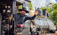 Mary Valley Rattler: Rattler Footplate Friends Experience - thumb 0