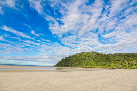 Daintree Afternoon Nocturnal Nature And Wildlife Tour - New South Wales Tourism  8