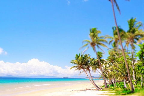 Airport Transfer - Mission Beach To Cairns Airport - New South Wales Tourism  3