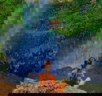 Private Tour - Rainforest  Waterfalls Extravaganza - New South Wales Tourism 