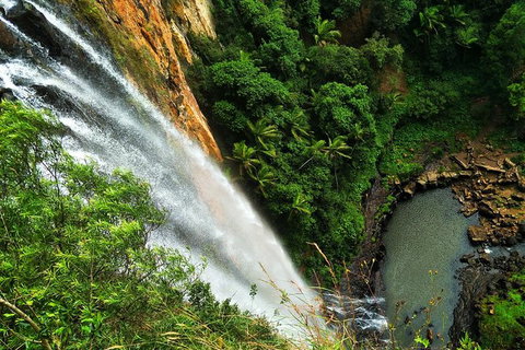 Natural Arch, Rainforest & Volcano Canyon - Private Half Day Tour - New South Wales Tourism  2