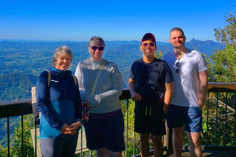 Natural Arch, Rainforest & Volcano Canyon - Private Half Day Tour - New South Wales Tourism  3