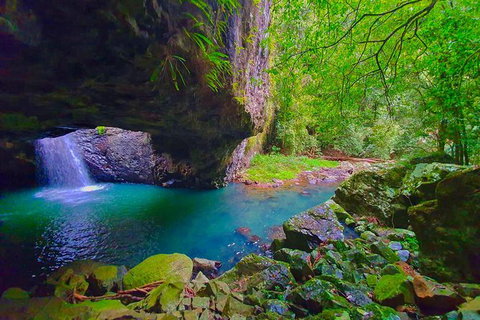 Natural Arch, Rainforest & Volcano Canyon - Private Half Day Tour - New South Wales Tourism  5
