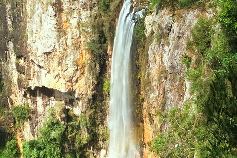 Natural Arch, Rainforest & Volcano Canyon - Private Half Day Tour - New South Wales Tourism  1