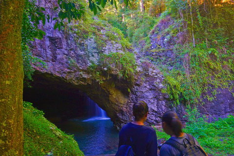Natural Arch, Rainforest & Volcano Canyon - Private Half Day Tour - New South Wales Tourism  6