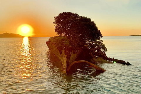 Aquascene Magnetic Island Sunset & Shipwreck Tour - New South Wales Tourism  3