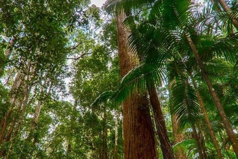 3-Day Fraser Island Hiking And 4WD Adventure From Hervey Bay - New South Wales Tourism  1