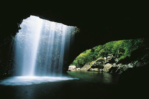 Natural Bridge, Springbrook & Gold Coast Tour - New South Wales Tourism  0