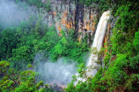 Natural Bridge, Springbrook & Gold Coast Tour - New South Wales Tourism  5