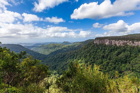 Natural Bridge, Springbrook & Gold Coast Tour - New South Wales Tourism  1