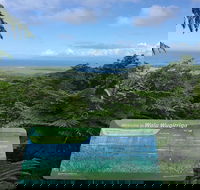 Daintree Luxury Limousine Tour - Full Day - New South Wales Tourism 
