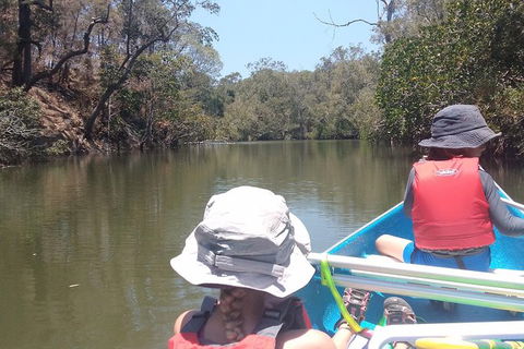 Noosa Hinterland Scenic Canoe Tour - New South Wales Tourism  1