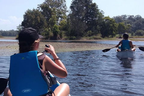 Noosa Hinterland Scenic Canoe Tour - New South Wales Tourism  2